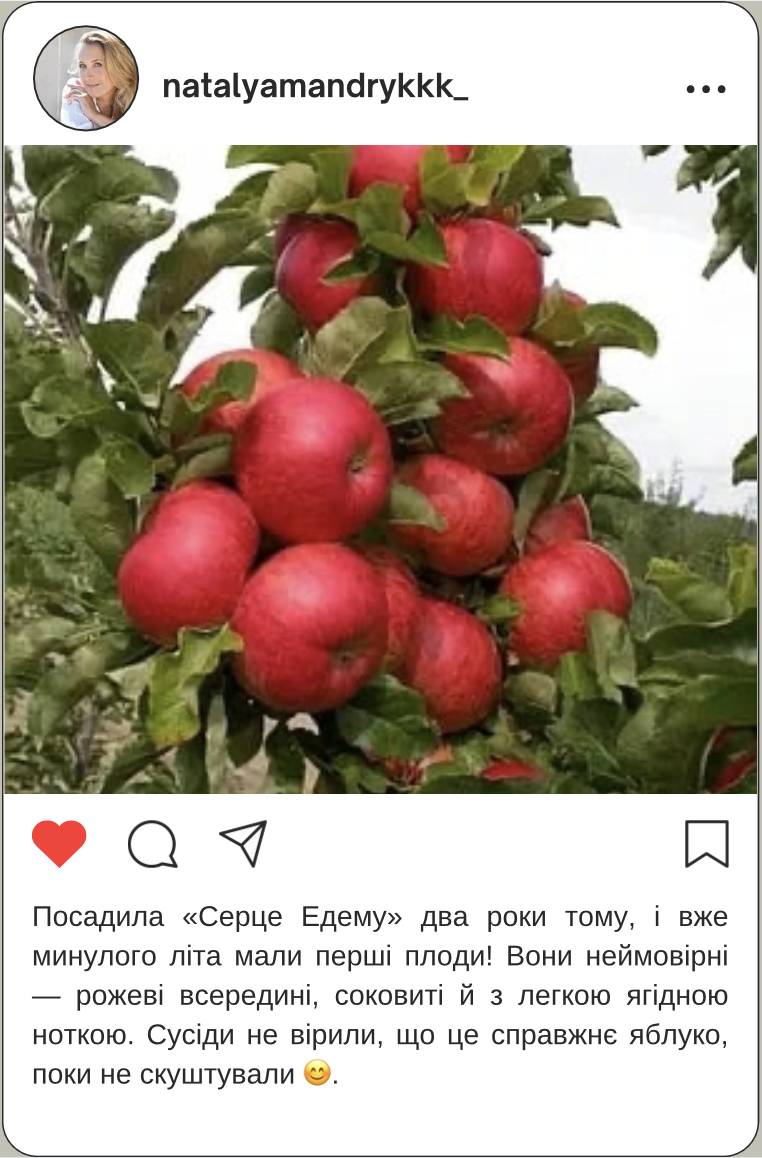 Заголовок